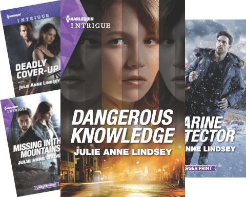 Fortress Defense by Julie Anne Lindsey